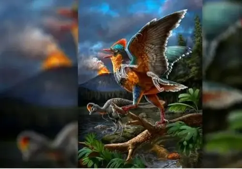 فسیل‌های یک میلیون سالۀ پرندگان منقرض‌شده در یک غار کشف شد + عکس
