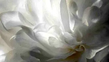 چطور رنگ سال ۲۰۲۶ رو وارد استایل شخصی کنیم؟