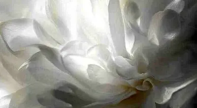 چطور رنگ سال ۲۰۲۶ رو وارد استایل شخصی کنیم؟