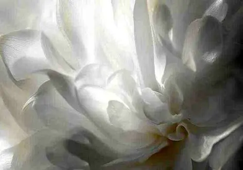 چطور رنگ سال ۲۰۲۶ رو وارد استایل شخصی کنیم؟