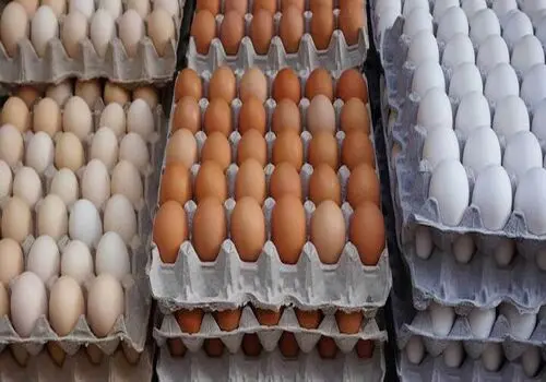 مصرف چه تعداد تخم مرغ در طول هفته مناسب است؟
