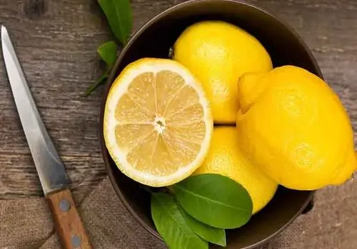 فریز کردن میوه های پاییزی: راهی برای حفظ طراوت و سلامتی
