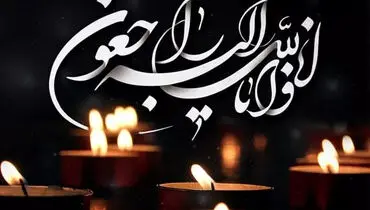 تسلیت معاون فرهنگی و دانشجویی به مناسبت درگذشت دکتر لیلا شیربیگی
