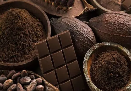 ترکیب موجود در شکلات تلخ روند پیری را کند میکند
