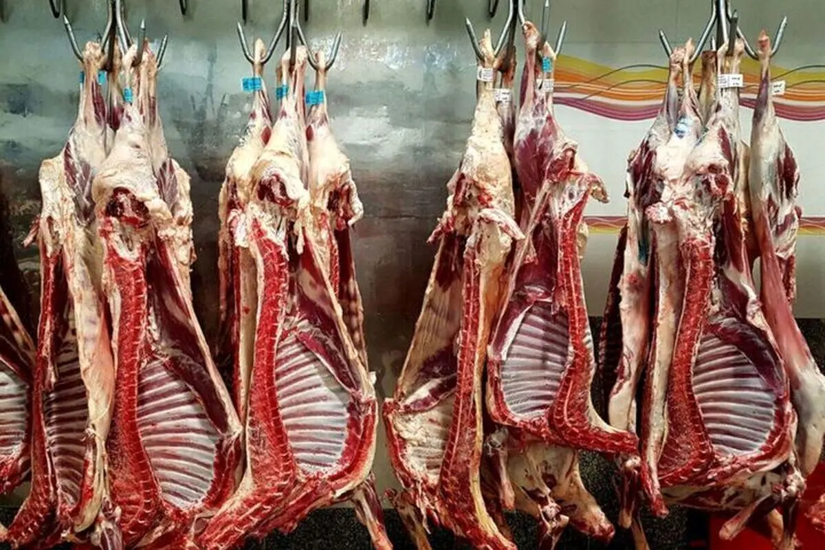وعده جدید دولت برای خودکفایی در تولید گوشت قرمز