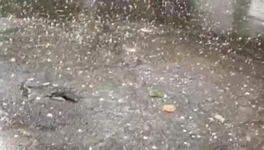 بارش‌ها ۷۵ درصد این سد را پر کرد؛ بقیه سد با ادامه بارندگی‌ها در روزهای آینده پر می‌شود