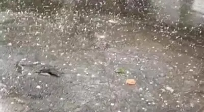 بارش‌ها ۷۵ درصد این سد را پر کرد؛ بقیه سد با ادامه بارندگی‌ها در روزهای آینده پر می‌شود