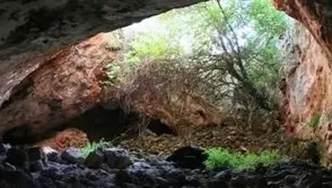 بقایای «کرگدن ماقبل تاریخ» از یک غار در کرمانشاه بیرون آمد