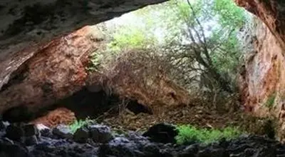 بقایای «کرگدن ماقبل تاریخ» از یک غار در کرمانشاه بیرون آمد