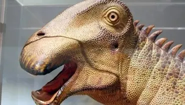 بقایای دایناسور عجیب با ۵۰۰ دندان کشف شد 
