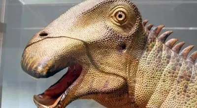 بقایای دایناسور عجیب با ۵۰۰ دندان کشف شد 
