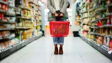 تاریخ برداشت کالابرگ دوم اعلام شد 
