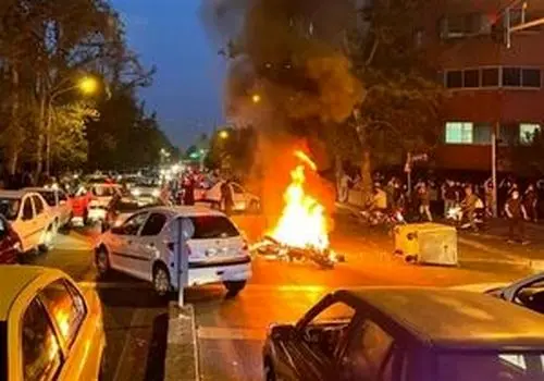 حضوری متفاوت ‌با طوطی در تجمعات شبانه