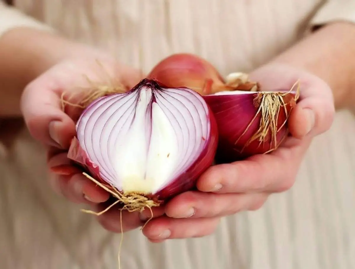 با خوردن یک  پیاز در روز از ابتللا به بیماری‌های مزمن جلوگیری کنید!
