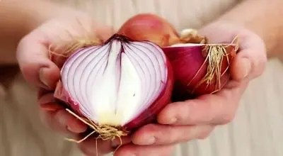 با خوردن یک  پیاز در روز از ابتللا به بیماری‌های مزمن جلوگیری کنید!
