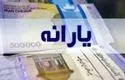 هشدار درباره حذف یارانه؛ شرایط حفظ یارانه اعلام شد