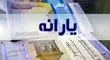 هشدار درباره حذف یارانه؛ شرایط حفظ یارانه اعلام شد