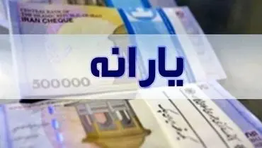 هشدار درباره حذف یارانه؛ شرایط حفظ یارانه اعلام شد