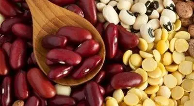 قیمت واقعی لوبیاچیتی اعلام شد