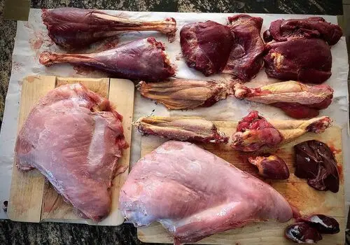 بوقلمون؛ یک غذای سالم برای دوران بارداری و سلامت پوست و مو