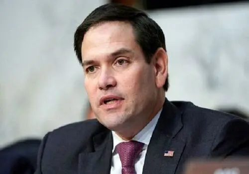 نباید در تهران کاج می‌کاشتیم!/ یک تصمیم اشتباه برای اکوسیستم پایتخت