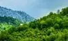 جنگل هیرکانی در آستانه پاییز تماشایی شد + فیلم