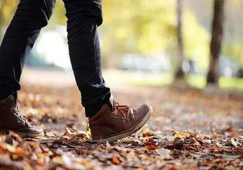 میان‌وعده‌های سالم؛ راهی برای افزایش انرژی و تمرکز دانش‌آموزان

