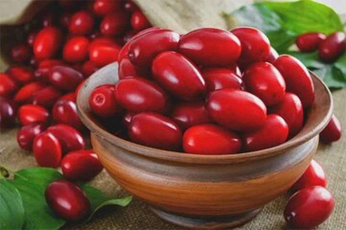 درمان بیماری‌های مغز و اعصاب با زغال‌اخته؟