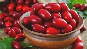 درمان بیماری‌های مغز و اعصاب با زغال‌اخته؟