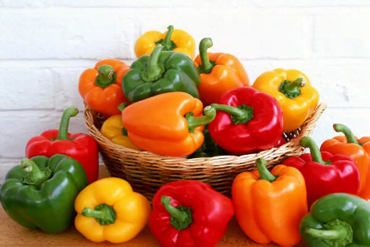 با خواص متفاوت فلفل دلمه‌های رنگی آشنا شوید!
