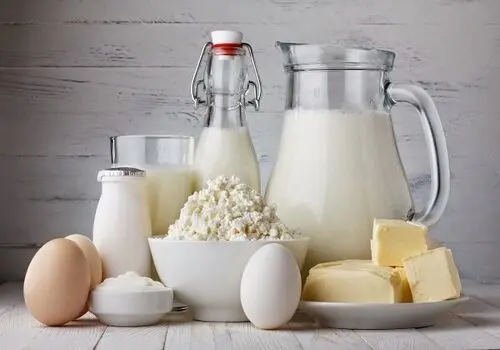 لبنیات گران می شود؟