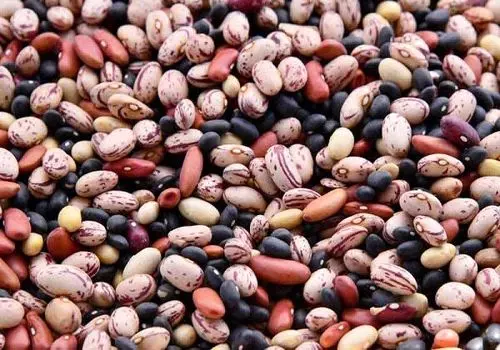 مزایای عجیب خوردن لوبیا برای دیابتی ها