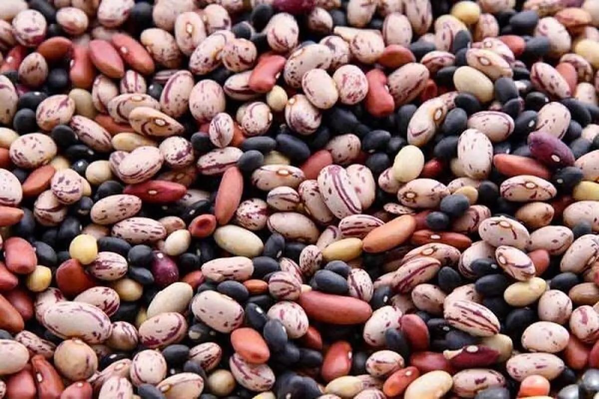 هرکدام از انواع لوبیا چه خواصی دارند؟
