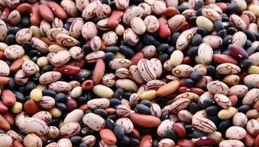 هرکدام از انواع لوبیا چه خواصی دارند؟
