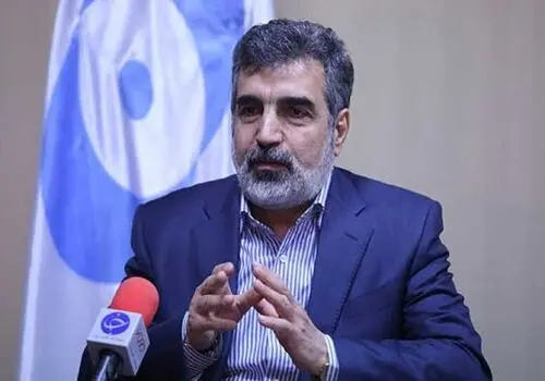 کمالوندی از مذاکره ایران و روسیه درباره ساخت نیروگاه‌های بزرگ‌تر از بوشهر خبر داد