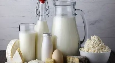 خطر تب مالت با لبنیات محلی 