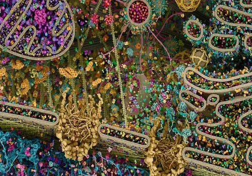 فوتبال آینده در چین/ ربات‌های انسان‌نما به میدان می‌آیند + تصاویر