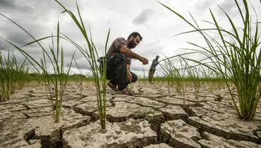 کشاورزی در تله سرمایه و روش‌های سنتی | مسئله فقط کمبود منابع نیست
