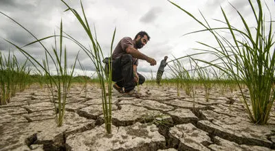 کشاورزی در تله سرمایه و روش‌های سنتی | مسئله فقط کمبود منابع نیست
