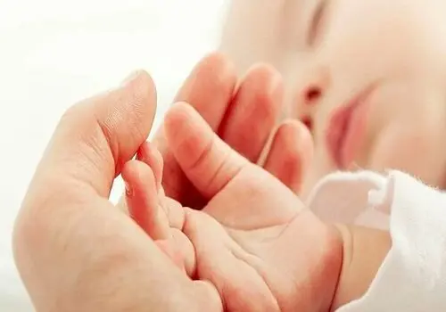 چه میوه‌هایی برای مادران باردار مفید هستند؟