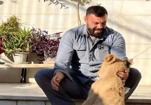 آغوش امن شیر ماده برای توله اش + عکس