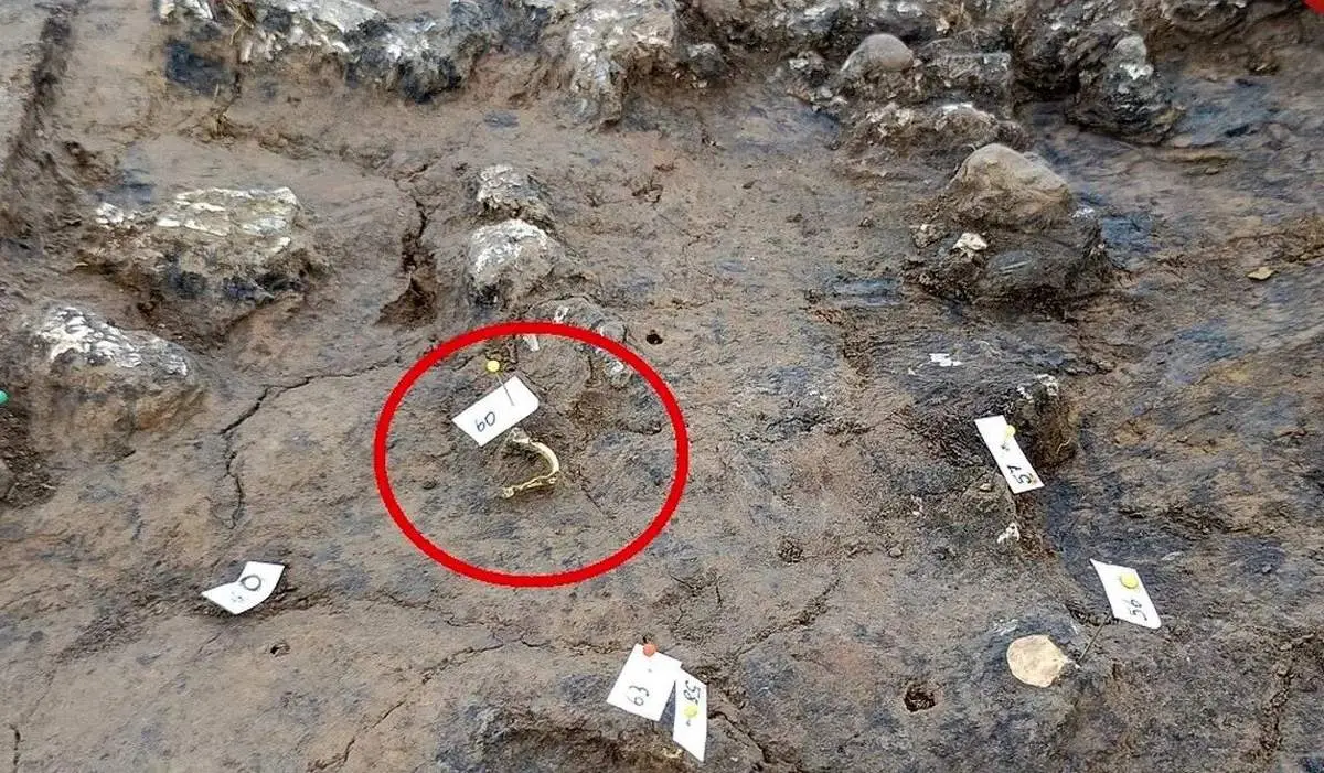 کشف قبر ۱۸۰۰ ساله در یک مکان غیرمنتظره + تصاویر