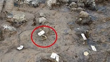 کشف قبر ۱۸۰۰ ساله در یک مکان غیرمنتظره + تصاویر