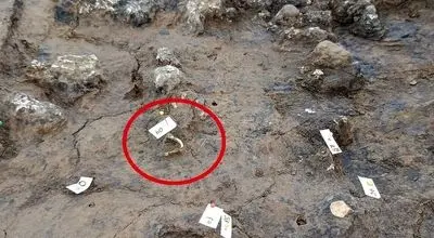 کشف قبر ۱۸۰۰ ساله در یک مکان غیرمنتظره + تصاویر