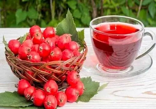  خواص درمانی معجزه گر زالزالک برای بدن!