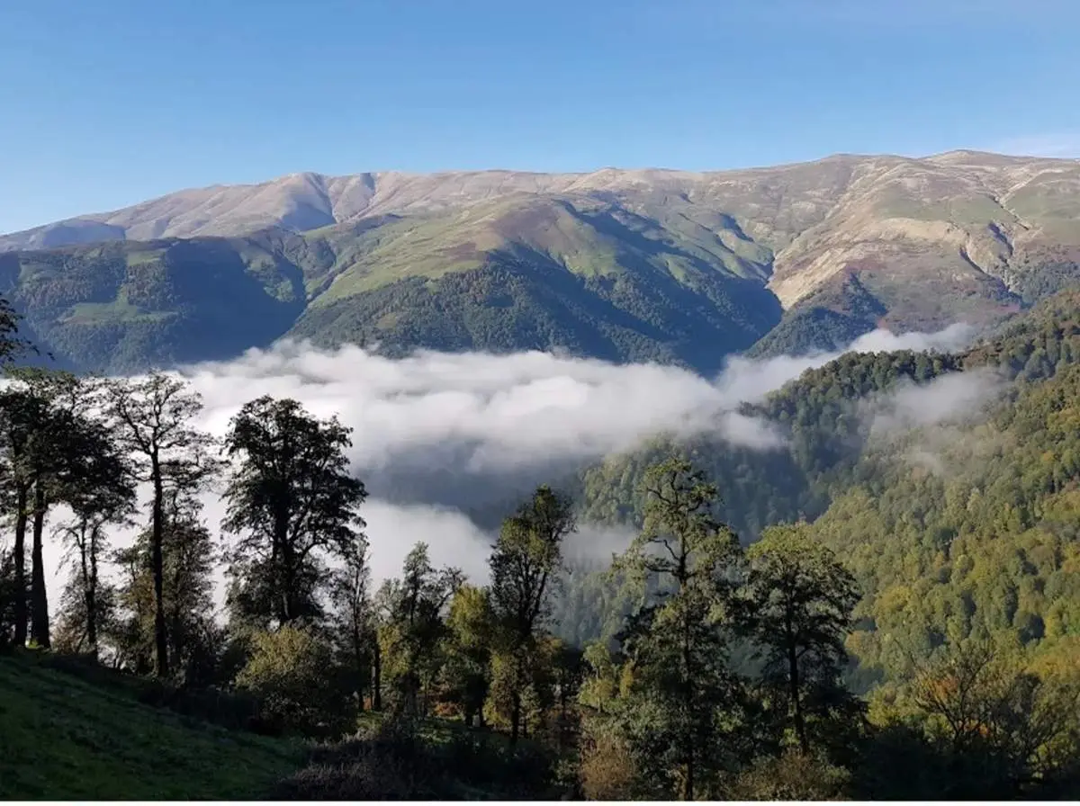 بهترین فصل برای سفر به ماسال چه زمانی است؟