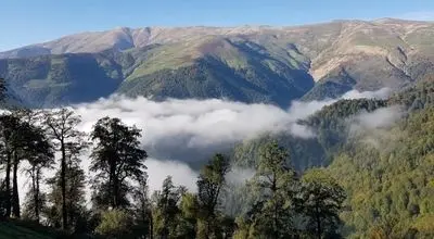 بهترین فصل برای سفر به ماسال چه زمانی است؟