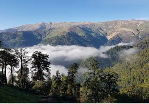 شهادت مامور گیلانی در درگیری با اشرار مسلح شادگان