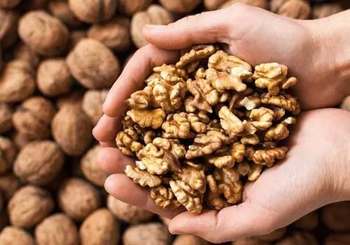 گردو؛ خوراکی کوچک با تأثیر بزرگ بر دیابت