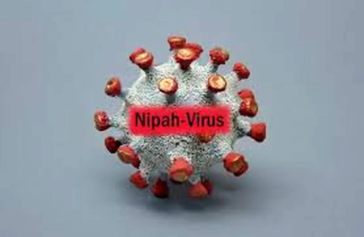 ویروس نیپا چیست و چقدر نگران کننده است؟